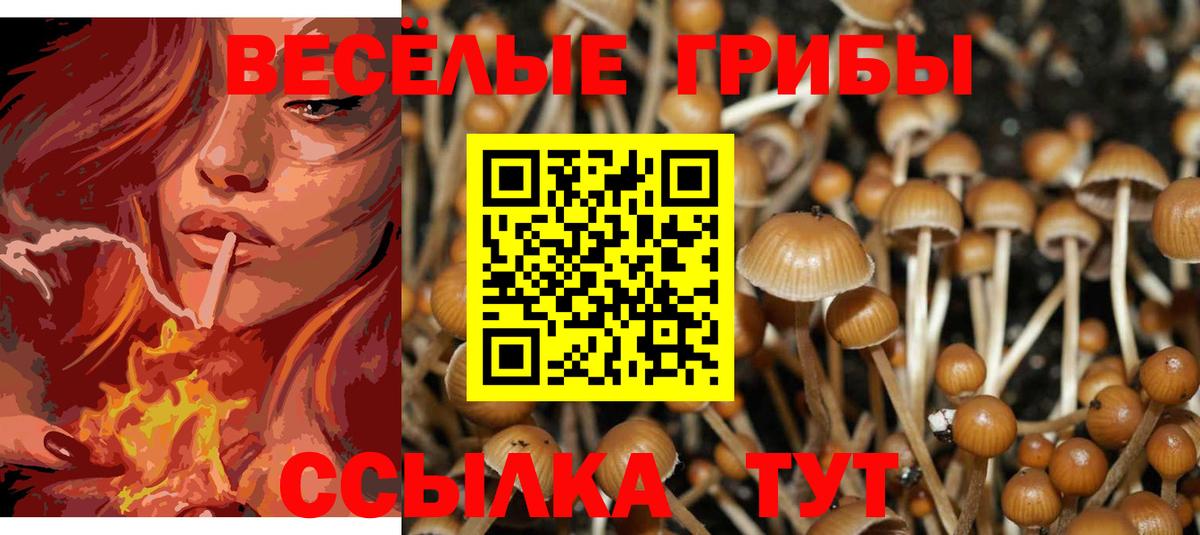 Псилоцибиновые грибы прущие грибы Верхний Уфалей