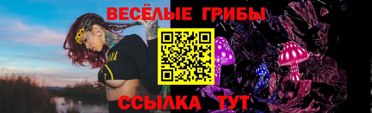 Верхний Уфалей  Галлюциногенные грибы Psilocybe  закладка  Галлюциногенные грибы ЛСД  Вход с VPN 